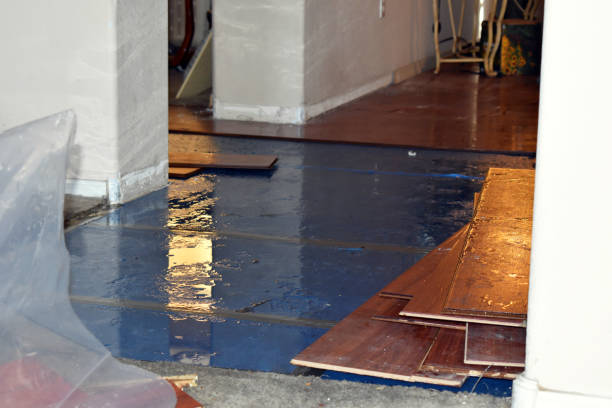 Professional Flood Cleanup technician working in Columbus, NJ